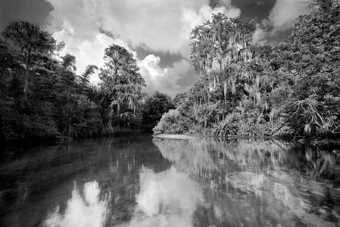 Mangrove Equity News Upates