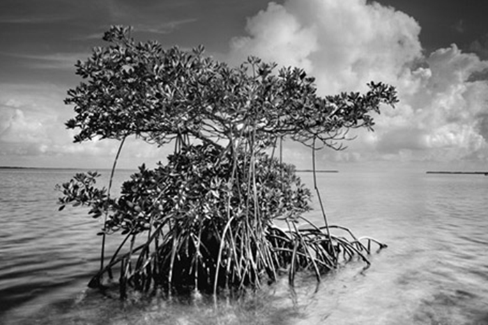 GaskinBay5-L