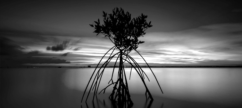 GaskinBay5-L